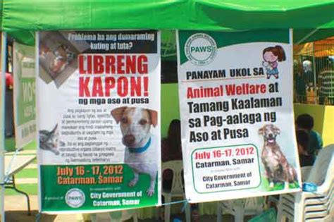 spay フィリピン|PAWS offers free spay, neuter services for low.